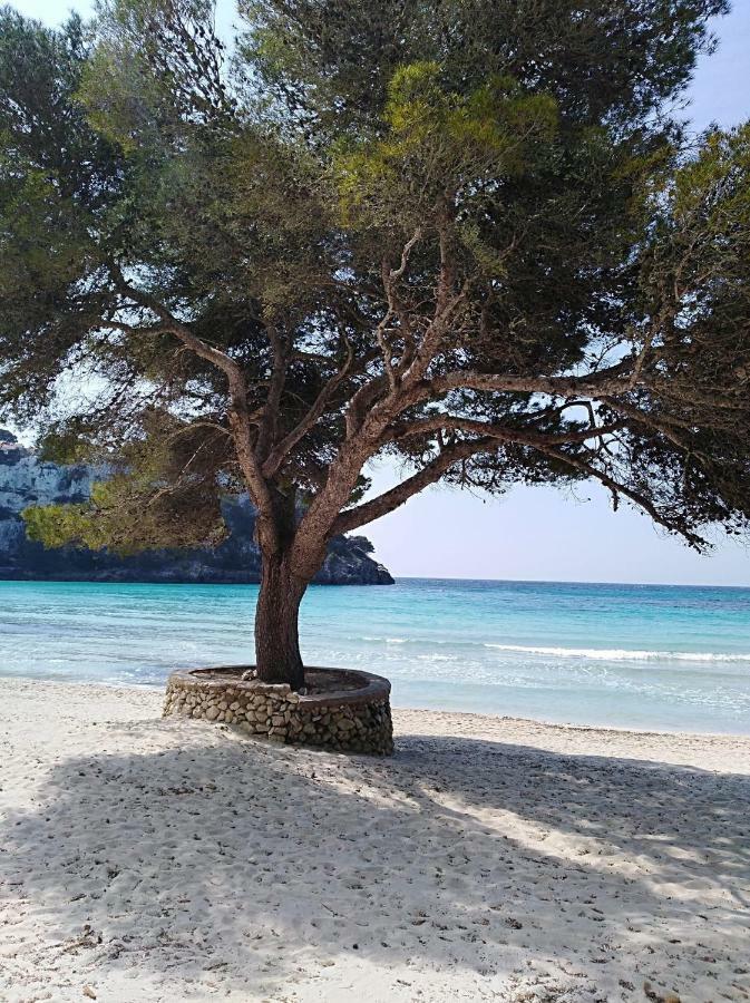 Garbi & Xaloc Apartamentos Cala Galdana  Eksteriør billede